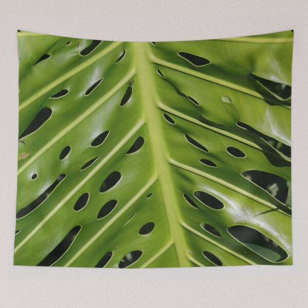 Item preview, Plant Leaf (Philodendron) designed and sold by Anthony's  images.