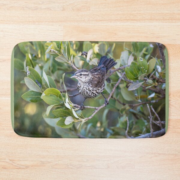 Item preview, Female Red-winged Blackbird Among Coastal Greenery designed and sold by Debra Martz.