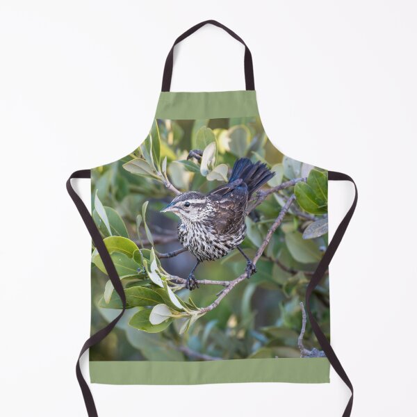 Item preview, Female Red-winged Blackbird Among Coastal Greenery designed and sold by Debra Martz.
