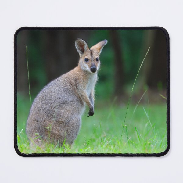 Item preview, Wallaby designed and sold by Anthony's images.