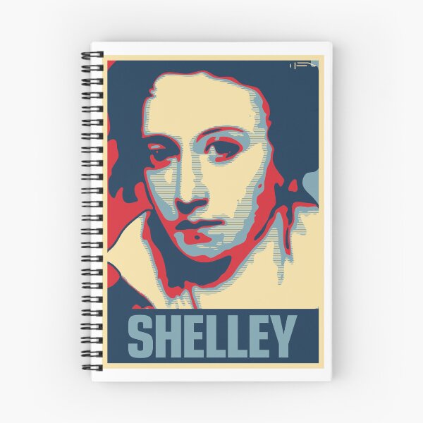 Item preview, Shelley designed and sold by DFA.