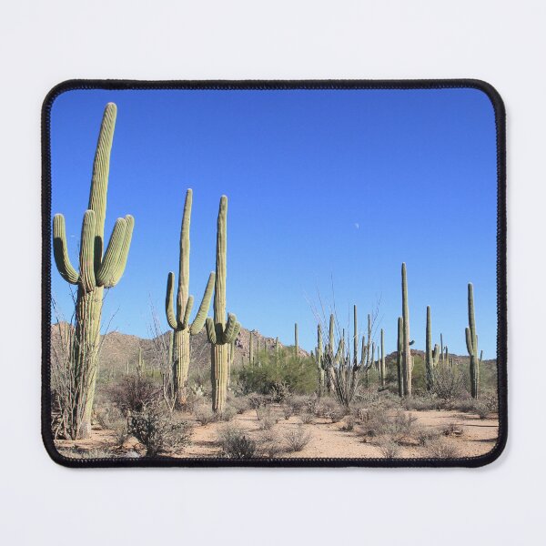Item preview, Cactus Grove designed and sold by MatthewThomasDaniels.