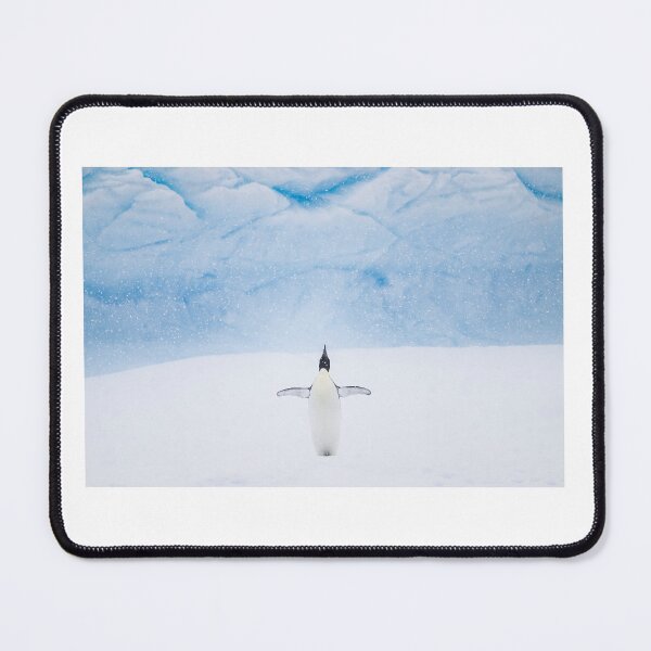 Item preview, Minimalist Adelie Penguin in Snowstorm – Antarctic Wildlife Photography designed and sold by JohnManuelPhoto.