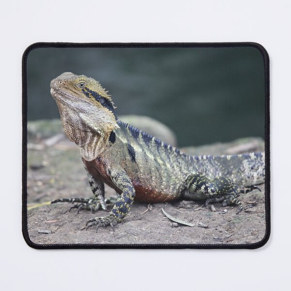 Item preview, Eastern Water Dragon designed and sold by Anthony's  images.