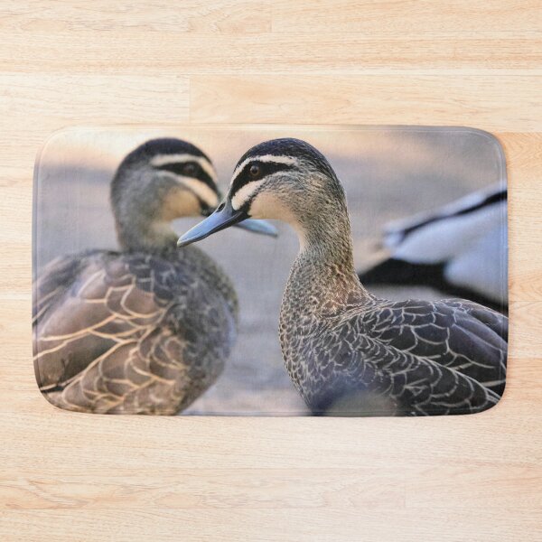 Item preview, Pacific Black Ducks  designed and sold by Anthony's  images.