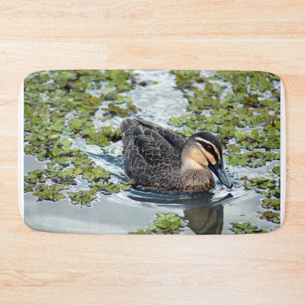 Item preview, Pacific Black Duck  designed and sold by Anthony's  images.