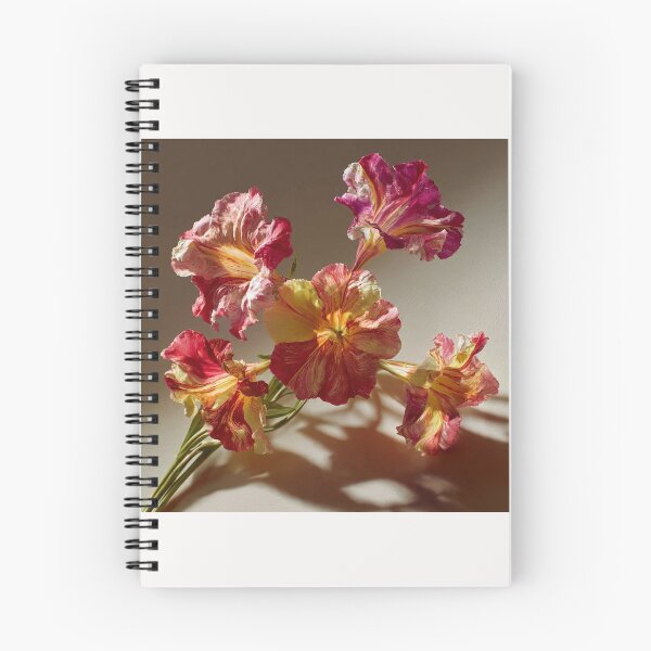 Item preview, Mirabilis Jalapa – Whispers of Color and Light designed and sold by Helios Be. Lavsh.