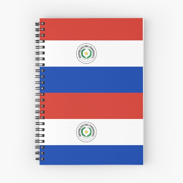Artikelvorschau, Flagge von Paraguay (PY) entworfen und verkauft von shitpostee.