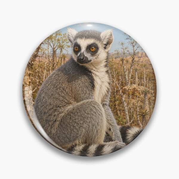 Item preview, Ring-Tailed Lemur in Spiny Forest designed and sold by Pixel Junkies Studio.