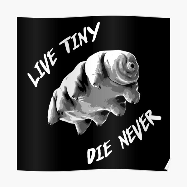 Tardigrade 'Live Tiny, Die Never' Poster