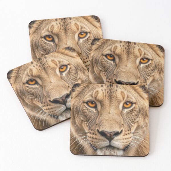 Item preview, Lioness Close-up designed and sold by Kirrindy Designs.