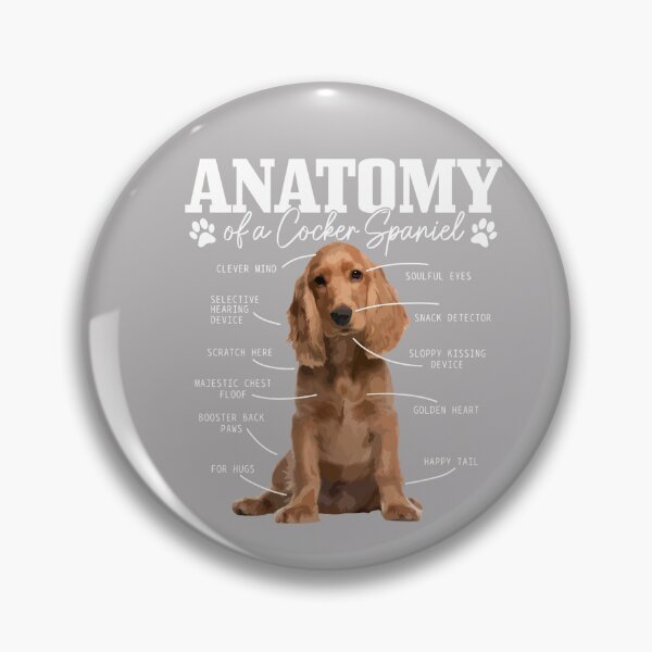 Item preview, Cocker Spaniel Anatomy Funny Cute Dog Cocker Spaniel Mom Dad designed and sold by MabelWells.