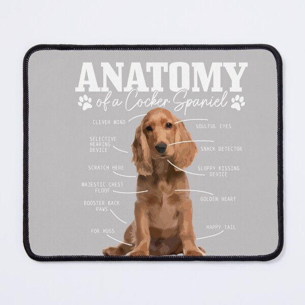 Item preview, Cocker Spaniel Anatomy Funny Cute Dog Cocker Spaniel Mom Dad designed and sold by MabelWells.