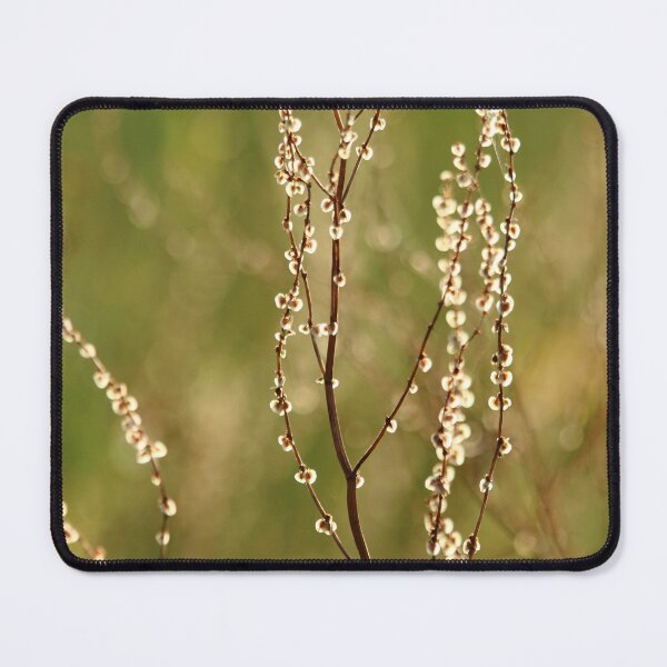 Item preview, That Gentle Glow designed and sold by Olivia Plasencia.
