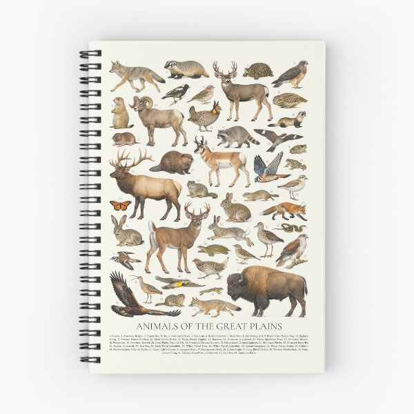 Item preview, Animals of the Great Plains Retro Style Identification Chart designed and sold by kakarikihill.