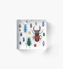 Bugs! Bugs! Bugs! Acrylic Block