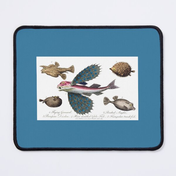 Item preview, Fishes designed and sold by hec60504.