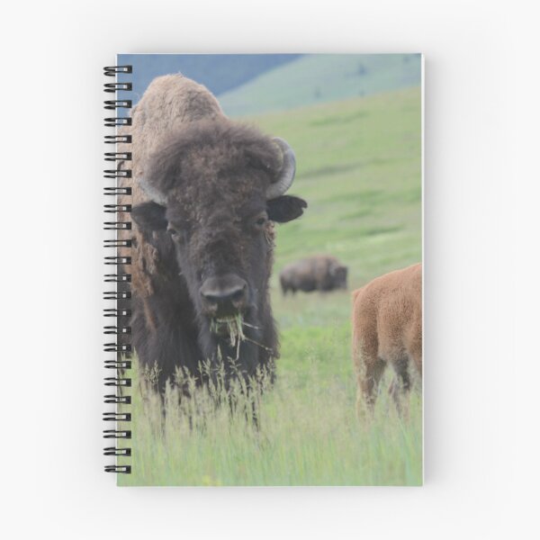 Item preview, Bison Cow and Calf on the Range designed and sold by Whisperingpeaks.