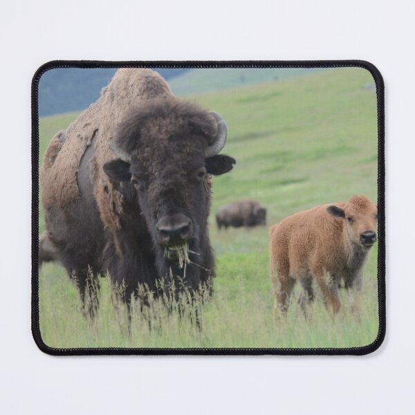 Item preview, Bison Cow and Calf on the Range designed and sold by Whisperingpeaks.