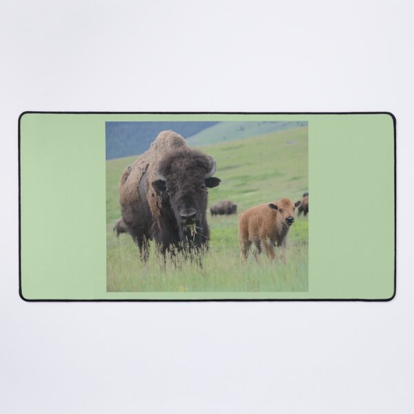 Item preview, Bison Cow and Calf on the Range designed and sold by Whisperingpeaks.