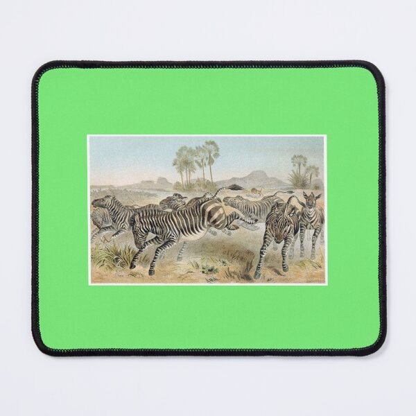 Item preview, Zebras designed and sold by hec60504.