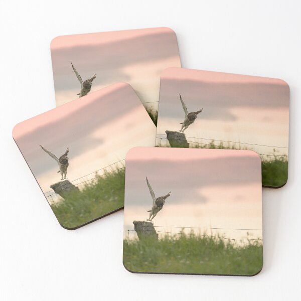 Item preview, Pueo's sunset take-off designed and sold by Keola Makaiau.