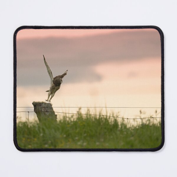 Item preview, Pueo's sunset take-off designed and sold by Keola Makaiau.