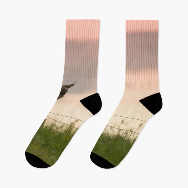 Item preview, Pueo's sunset take-off designed and sold by Keola Makaiau.