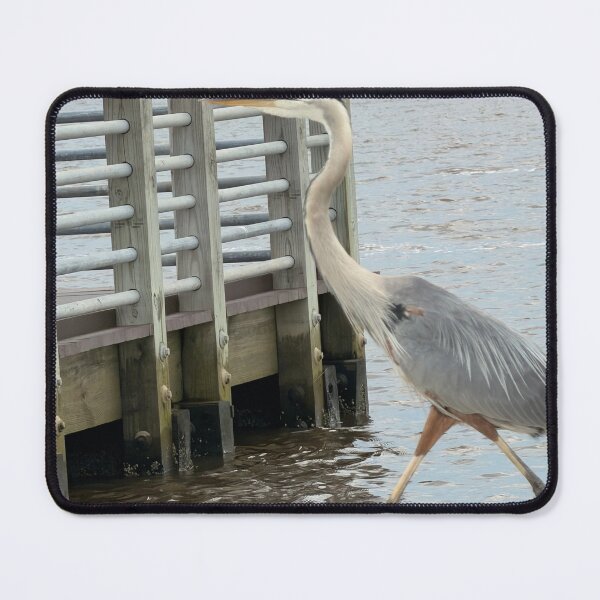 Item preview, Coastal Blue Heron Wildlife Portrait. designed and sold by Pearls1.