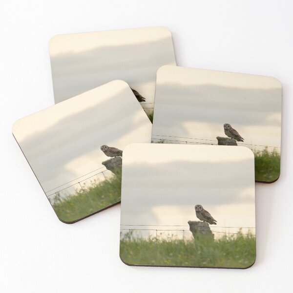 Item preview, Pueo on fence post designed and sold by Keola Makaiau.