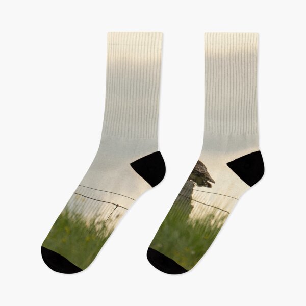 Item preview, Pueo on fence post designed and sold by Keola Makaiau.