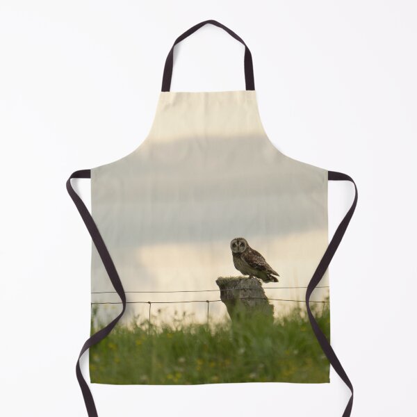 Item preview, Pueo on fence post designed and sold by Keola Makaiau.