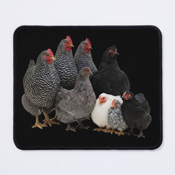 Item preview, Fashionchooks Family Flock Chicken Portrait designed and sold by FashionChooks.