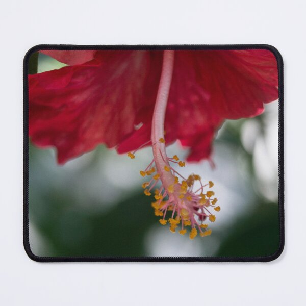 Item preview, Hibiscus rosa-sinensis designed and sold by ROSE ANN BANILAR.