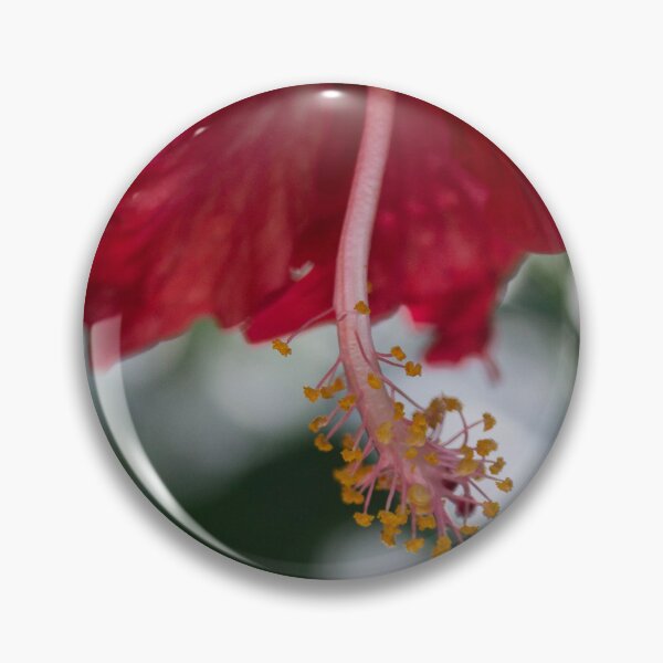 Artikelvorschau, Hibiscus rosa-sinensis entworfen und verkauft von ROSE ANN BANILAR.