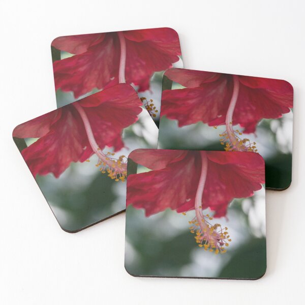 Item preview, Hibiscus rosa-sinensis designed and sold by ROSE ANN BANILAR.