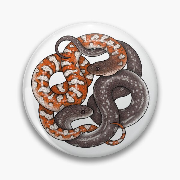 Item preview, White-bellied Mangrove Snake (Fordonia leucobalia) designed and sold by miss-varanus.