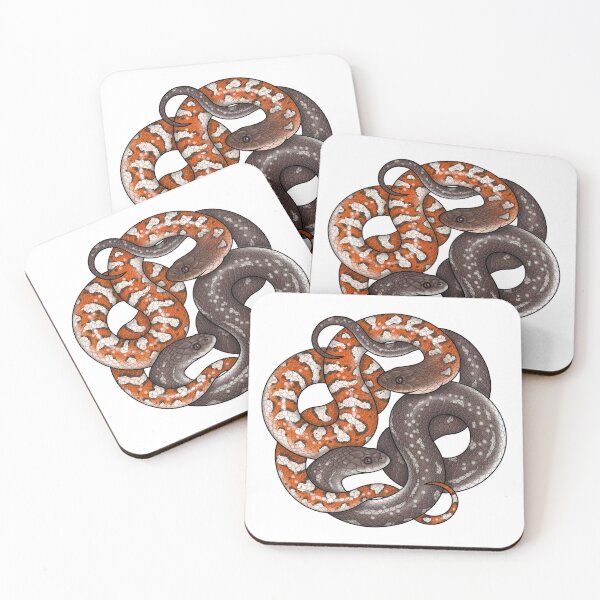 Item preview, White-bellied Mangrove Snake (Fordonia leucobalia) designed and sold by miss-varanus.