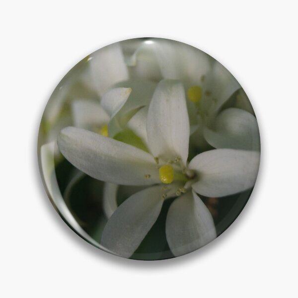 Artikelvorschau, Orange Jasmine_02 entworfen und verkauft von ROSE ANN BANILAR.