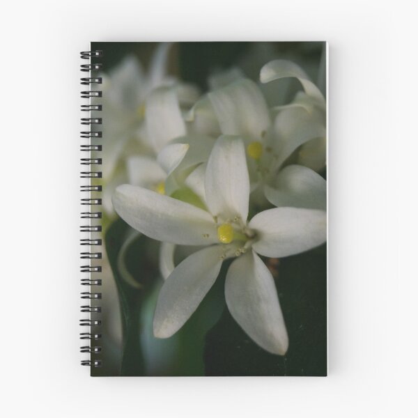 Artikelvorschau, Orange Jasmine_02 entworfen und verkauft von ROSE ANN BANILAR.