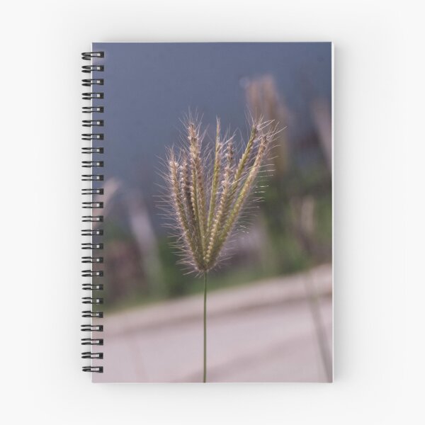 Item preview, Swollen Windmill Grass designed and sold by ROSE ANN BANILAR.