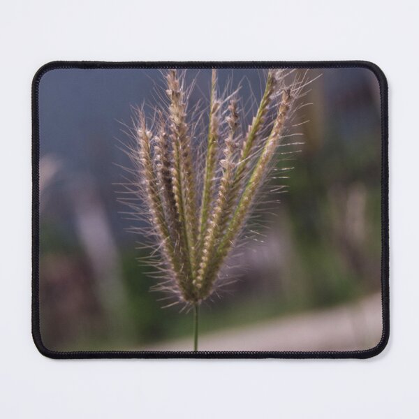 Item preview, Swollen Windmill Grass designed and sold by ROSE ANN BANILAR.