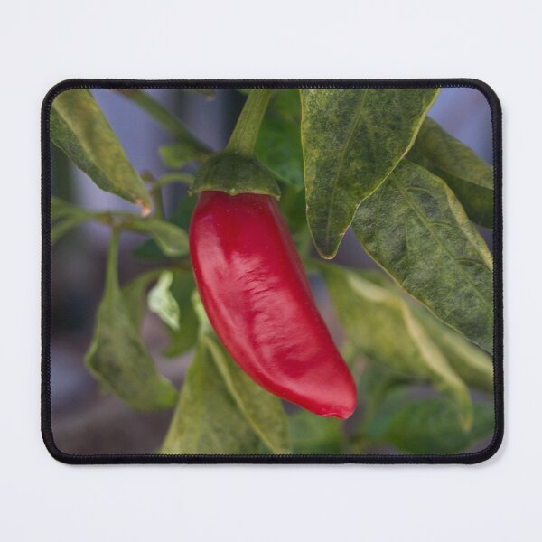 Item preview, Serrano pepper or a Jalapeño pepper designed and sold by ROSE ANN BANILAR.
