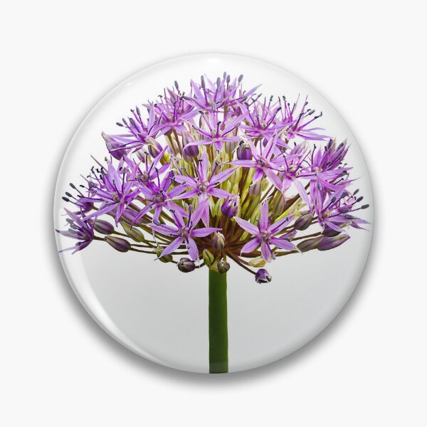 Item preview, Purple Burst — Allium Flower Fine Art Macro Photography designed and sold by Susarellis.