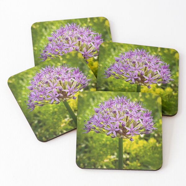 Item preview, Star Sphere — Purple Allium in Garden Fine Art Flower Photography designed and sold by Susarellis.
