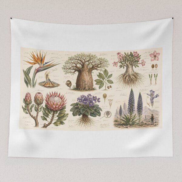 Item preview, "African Botanical Atlas  designed and sold by Bossygraphicske.