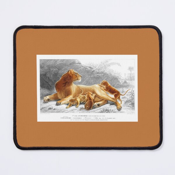 Item preview, Lioness with Her Cubs designed and sold by hec60504.