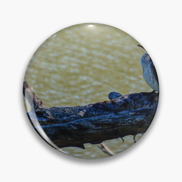 Item preview, Pied Cormorant  designed and sold by D-GaP.