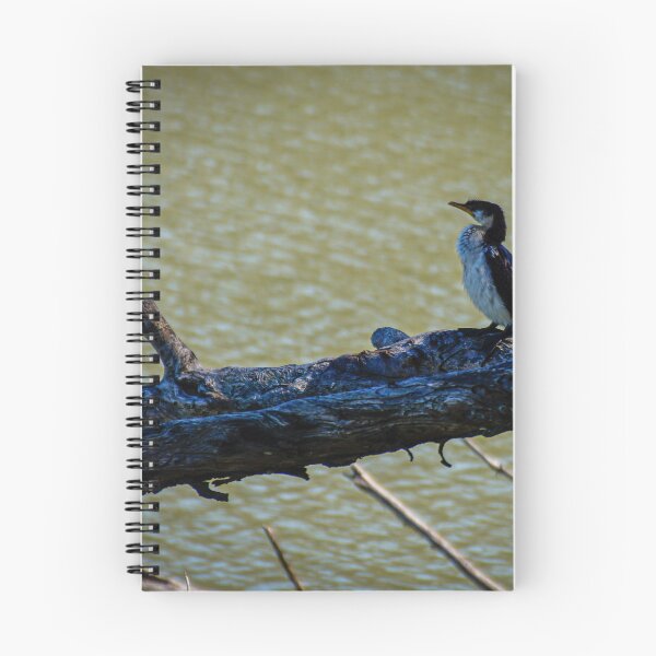 Item preview, Pied Cormorant  designed and sold by D-GaP.