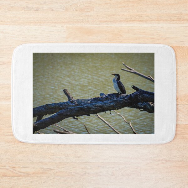 Item preview, Pied Cormorant  designed and sold by D-GaP.